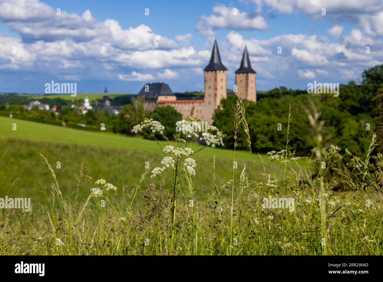 Le château de Rochlitz est situé à l'ouest de la ville de Rochlitz au-dessus de la rivière Zwickauer Mulde dans le district de Saxe centrale dans l'État libre de Banque D'Images