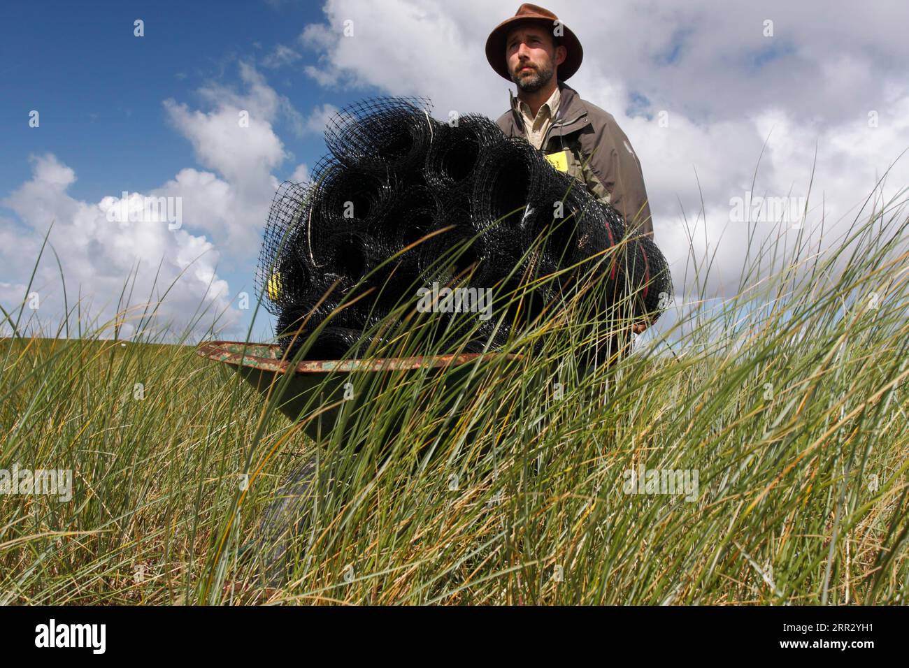 Recherche scientifique, transport de matériel de clôture, Parc national de la mer des Wadden de Basse-Saxe, Basse-Saxe, Allemagne Banque D'Images