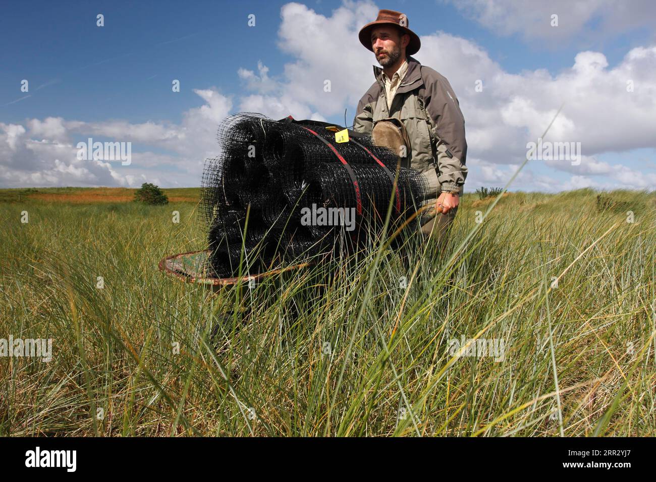 Recherche scientifique, transport de matériel de clôture, Parc national de la mer des Wadden de Basse-Saxe, Basse-Saxe, Allemagne Banque D'Images