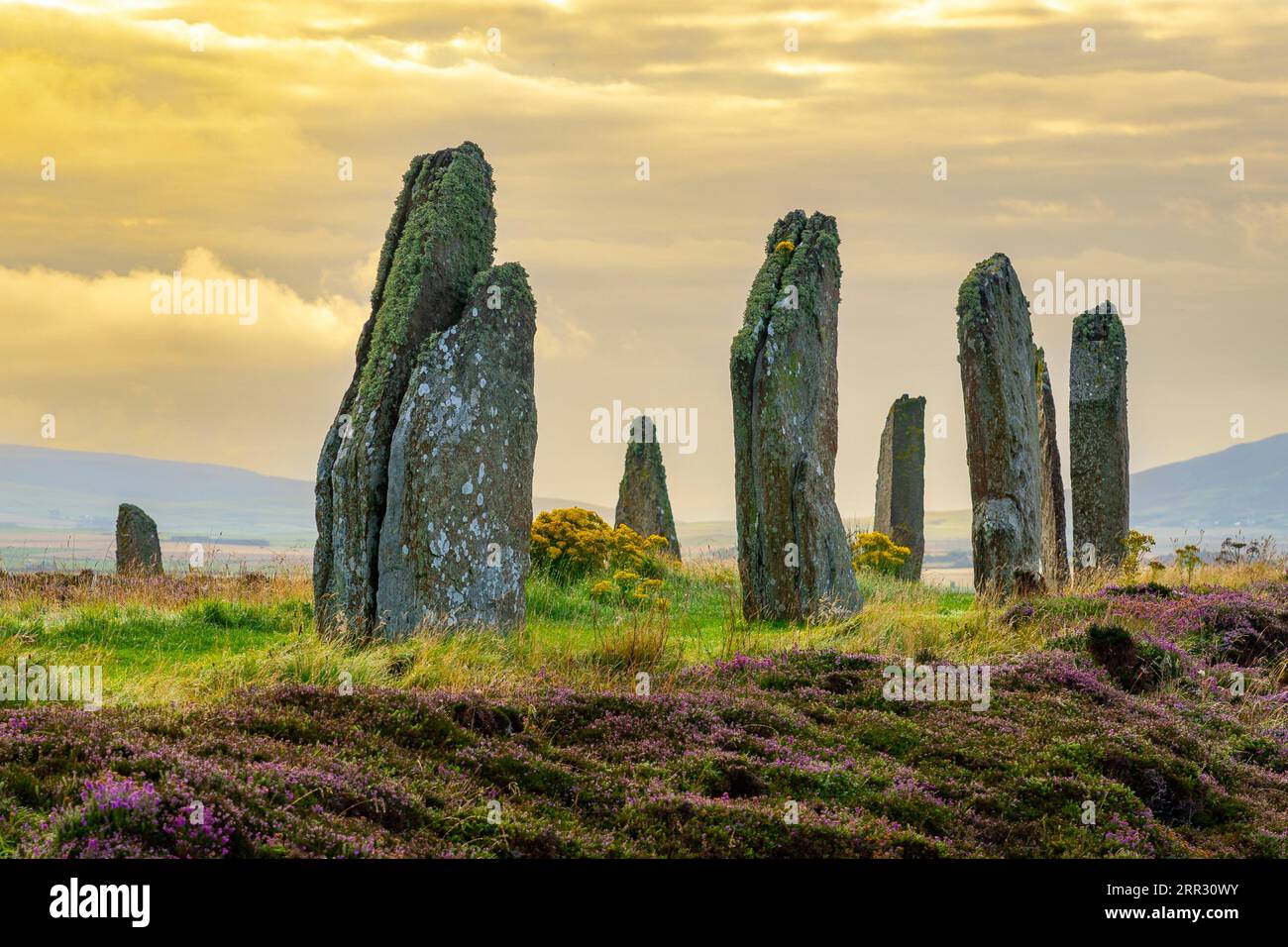 Lumière matinale à Ring of Brodgar henge néolithique et cercle de pierre à West Mainland, îles Orcades, Écosse, Royaume-Uni. Banque D'Images