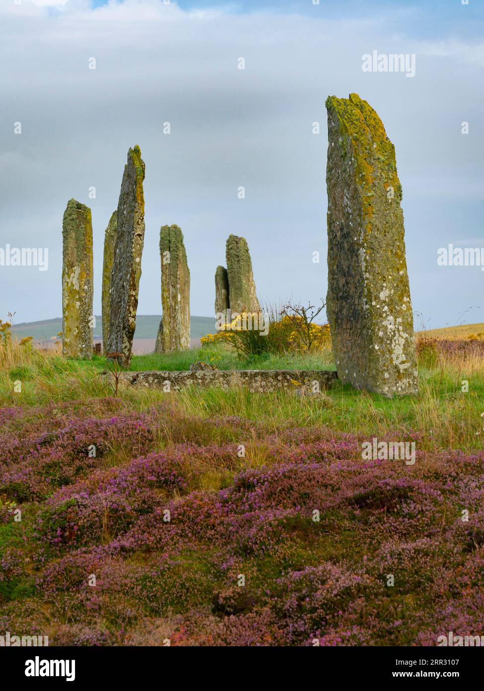 Lumière matinale à Ring of Brodgar henge néolithique et cercle de pierre à West Mainland, îles Orcades, Écosse, Royaume-Uni. Banque D'Images