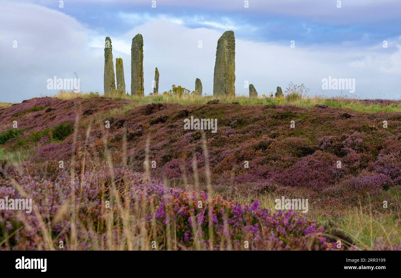 Lumière matinale à Ring of Brodgar henge néolithique et cercle de pierre à West Mainland, îles Orcades, Écosse, Royaume-Uni. Banque D'Images