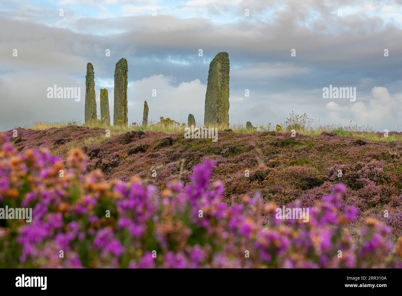 Lumière matinale à Ring of Brodgar henge néolithique et cercle de pierre à West Mainland, îles Orcades, Écosse, Royaume-Uni. Banque D'Images