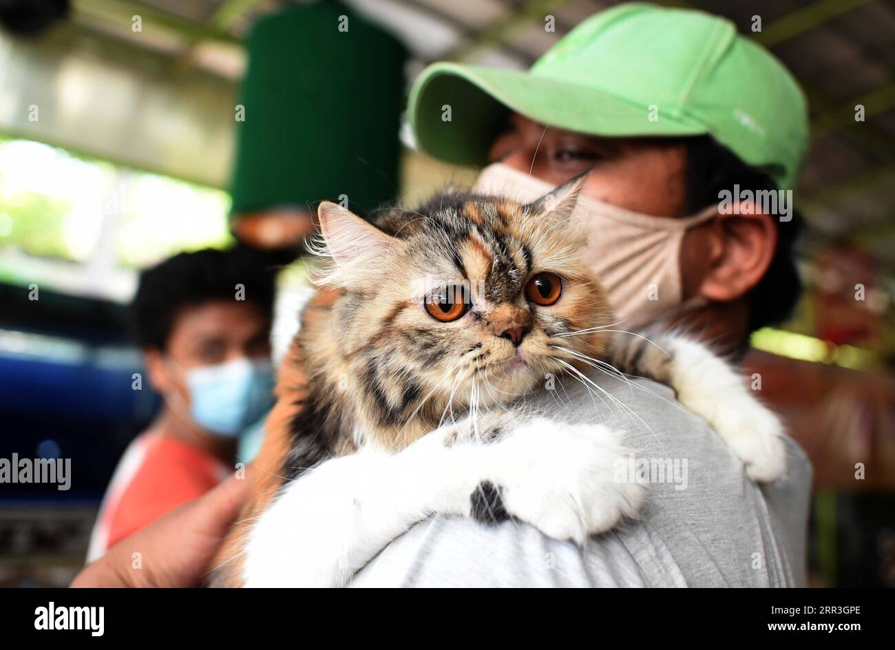 201103 -- JAKARTA, le 3 novembre 2020 -- Un homme emmène son chat pour recevoir gratuitement un vaccin contre la rage à Jakarta, Indonésie, le 3 novembre 2020. Des dizaines d'animaux de compagnie ont reçu la vaccination antirabique gratuite mise en œuvre par le gouvernement local. Photo de /Xinhua INDONESIA-JAKARTA-PET-FREE VACCINE Zulkarnain PUBLICATIONxNOTxINxCHN Banque D'Images