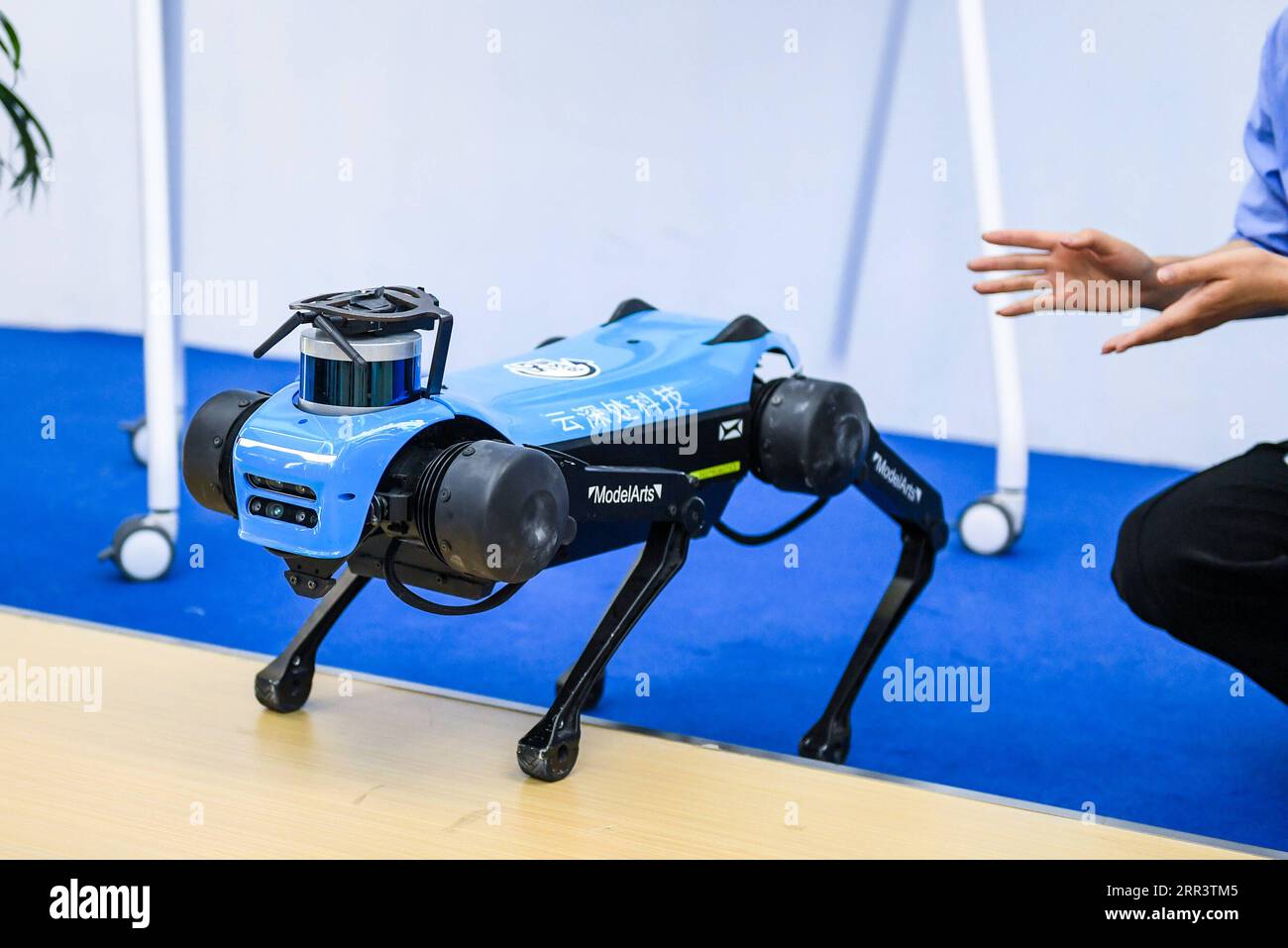 201111 -- SHENZHEN, le 11 novembre 2020 -- Un chien robotique est vu à la 22e foire chinoise Hi-Tech CHTF qui s'est tenue à Shenzhen, dans la province du Guangdong du sud de la Chine, le 11 novembre 2020. Le 22e CHTF a débuté mercredi dans le centre technologique du sud de la Chine, Shenzhen, avec plus de 3 300 exposants en ligne et hors ligne de la maison et de l étranger, présentant quelque 10 000 produits technologiques époustouflants. Sur le thème transformer l'avenir avec la technologie et stimuler le développement avec l'innovation, le CHTF de cette année présentera les dernières réalisations en biomédecine, en soins médicaux intelligents, en éducation en ligne et dans d'autres industries émergentes. Il le fera Banque D'Images