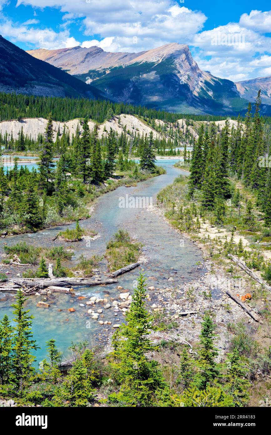 La rivière Saskatchewan Nord serpente le long d'une vallée du parc national Banff. Banque D'Images