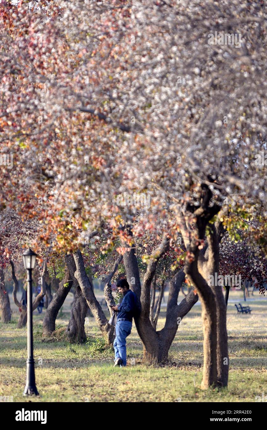 201118 -- ISLAMABAD, le 18 novembre 2020 -- Un homme profite de ses loisirs au parc Fatima Jinnah à Islamabad, capitale du Pakistan, le 17 novembre 2020. PAKISTAN-ISLAMABAD-PAYSAGE D'AUTOMNE AhmadxKamal PUBLICATIONxNOTxINxCHN Banque D'Images