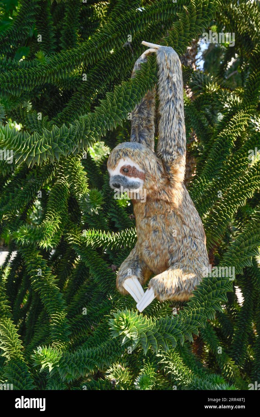 Lémurien en peluche dans l'arbre de puzzle de singe Banque D'Images