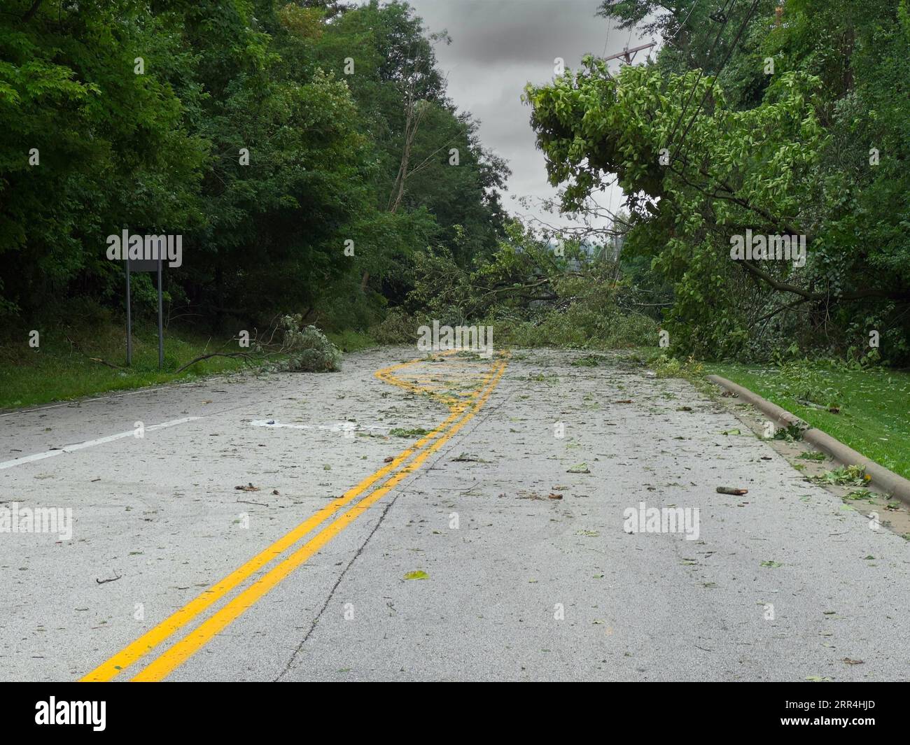 Un arbre abattu et des branches bloquent une rue dans une ville de l'Ohio après une forte tempête pendant la nuit. Banque D'Images