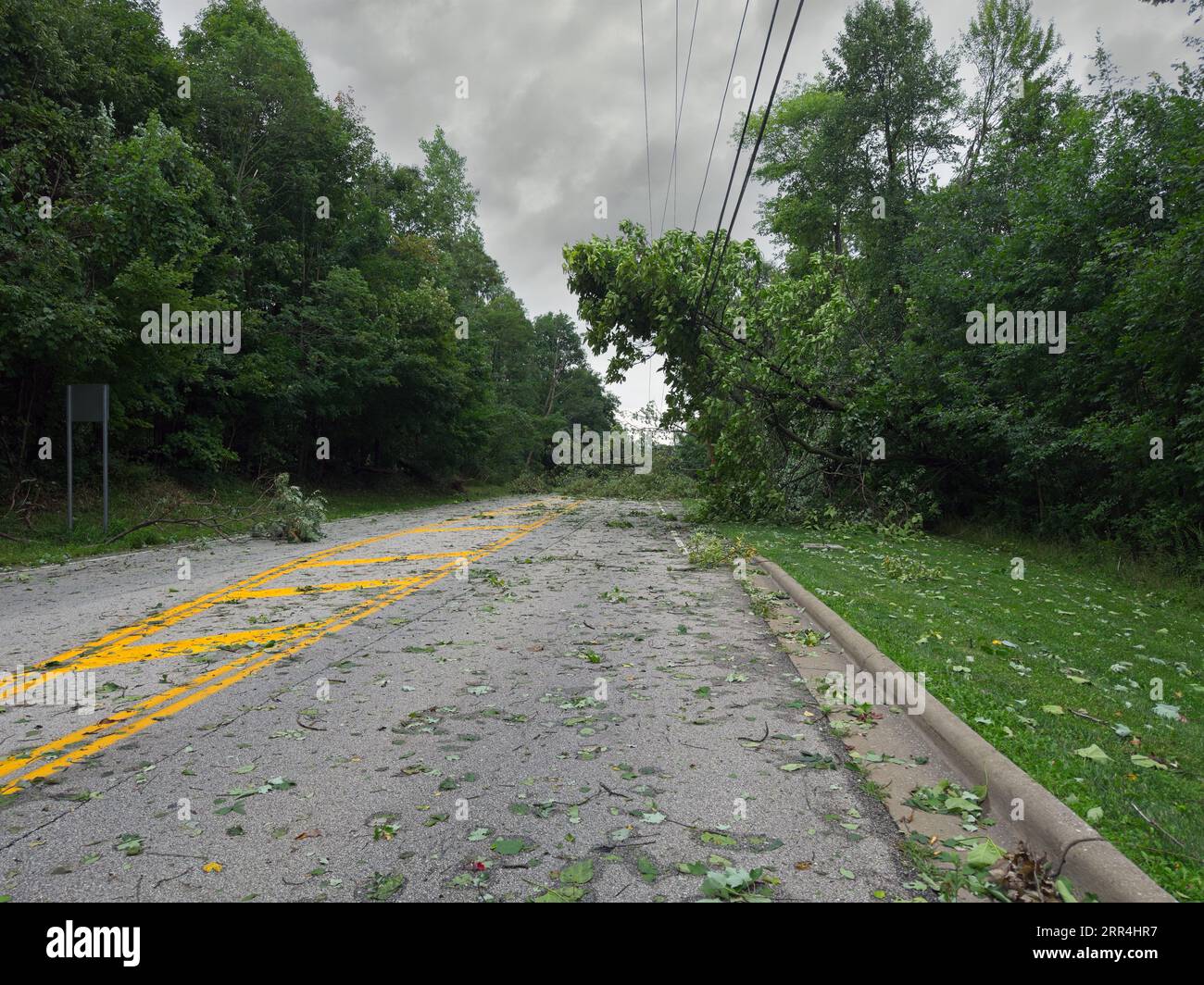 Un arbre abattu et des branches bloquent une autoroute dans une ville de l'Ohio après une forte tempête pendant la nuit. Banque D'Images