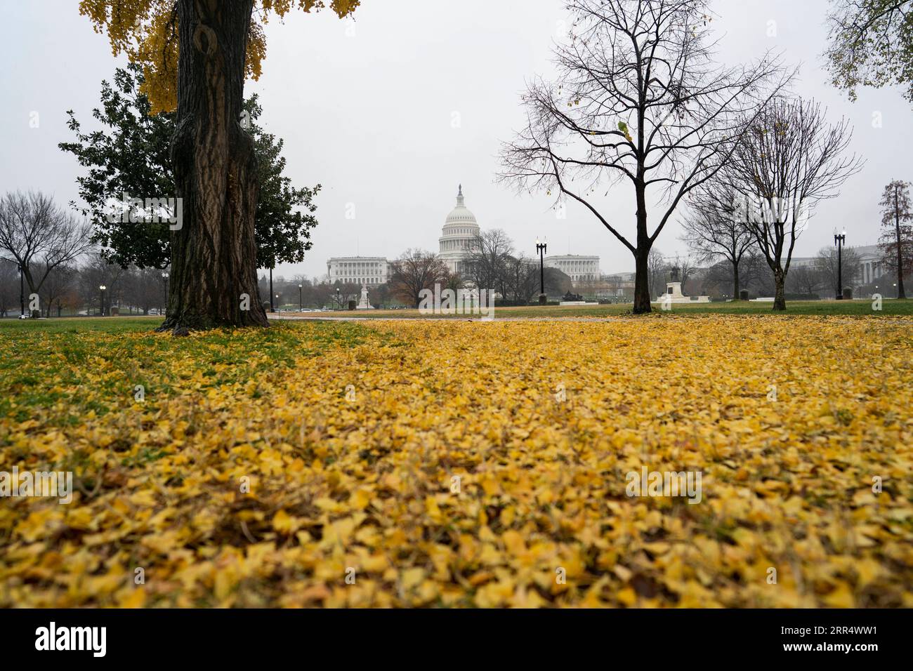 201215 -- WASHINGTON, D.C., 15 décembre 2020 -- la photo prise le 14 décembre 2020 montre le Capitole des États-Unis sous la pluie à Washington, D.C., aux États-Unis. Le Collège électoral américain a voté lundi pour un nouveau président basé sur les résultats des élections de 2020, rendant officielle la victoire du démocrate Joe Biden à la Maison Blanche. ÉTATS-UNIS-WASHINGTON, D.C.-ELECTORAL COLLEGE VOTE-BIDEN LIUXJIE PUBLICATIONXNOTXINXCHN Banque D'Images