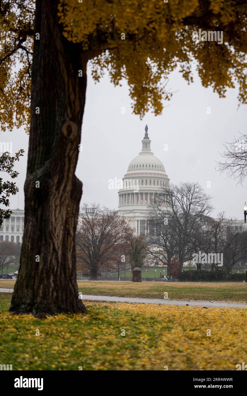 201215 -- WASHINGTON, D.C., 15 décembre 2020 -- la photo prise le 14 décembre 2020 montre le Capitole des États-Unis sous la pluie à Washington, D.C., aux États-Unis. Le Collège électoral américain a voté lundi pour un nouveau président basé sur les résultats des élections de 2020, rendant officielle la victoire du démocrate Joe Biden à la Maison Blanche. ÉTATS-UNIS-WASHINGTON, D.C.-ELECTORAL COLLEGE VOTE-BIDEN LIUXJIE PUBLICATIONXNOTXINXCHN Banque D'Images