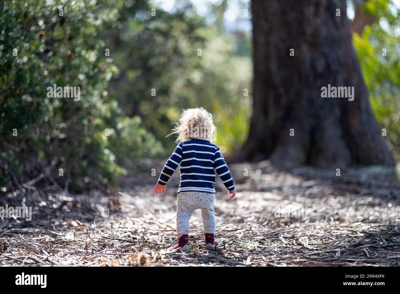 enfant blonde marchant dans la nature dans la forêt Banque D'Images