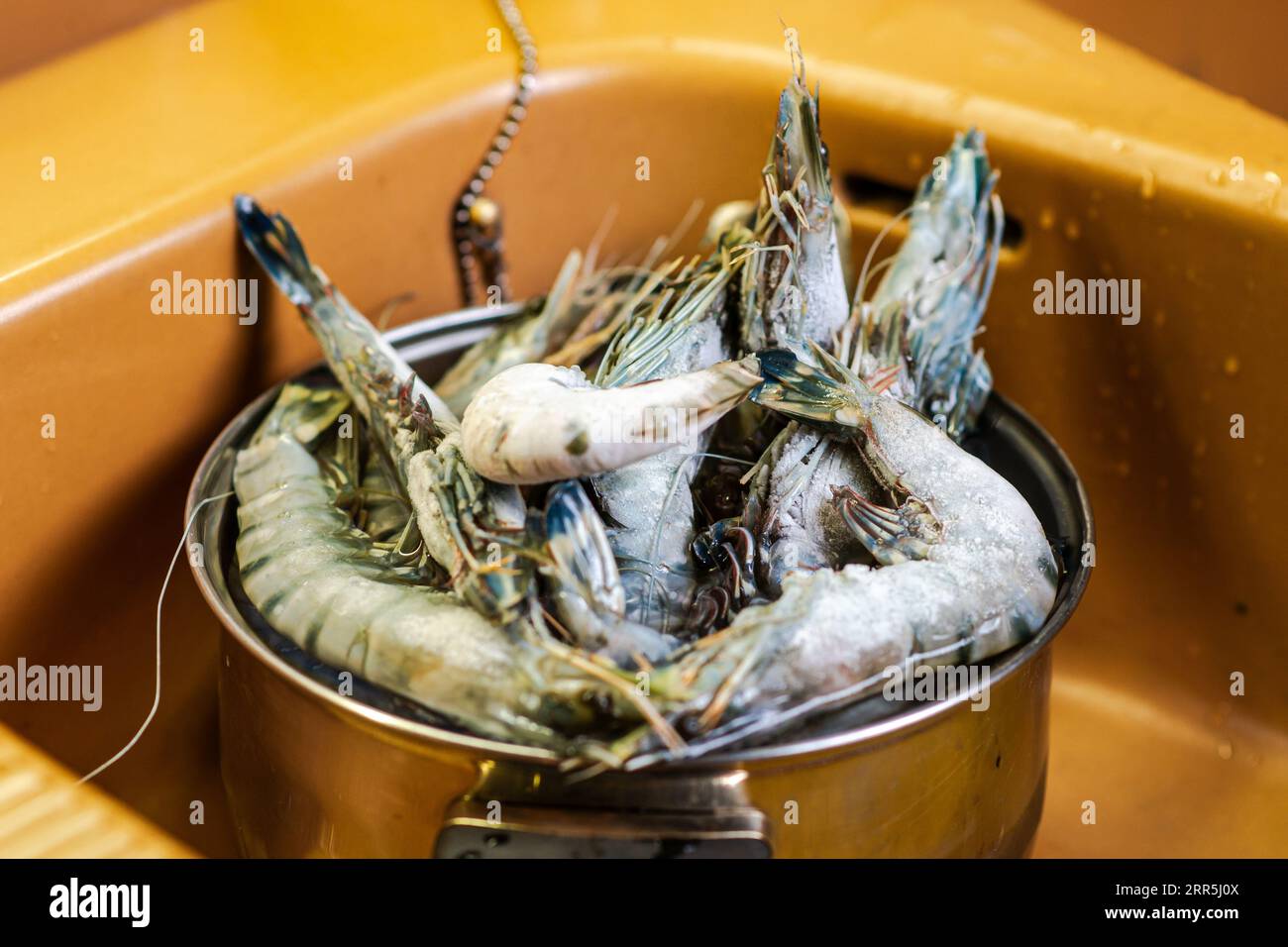 Crevettes royales congelées dans une casserole. Préparation de la cuisson. Banque D'Images
