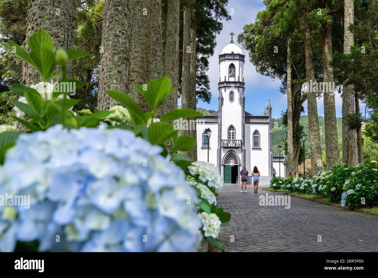 Igreja de São Nicolau ou église Saint-Nicolas encadrée par des platanes et des arbustes florissants d'hortensia dans le village historique de Sete Cidades, Sao Miguel, Açores, Portugal. L'église, construite en 1857, est située au centre d'un cratère volcanique massif de trois miles de large. Banque D'Images