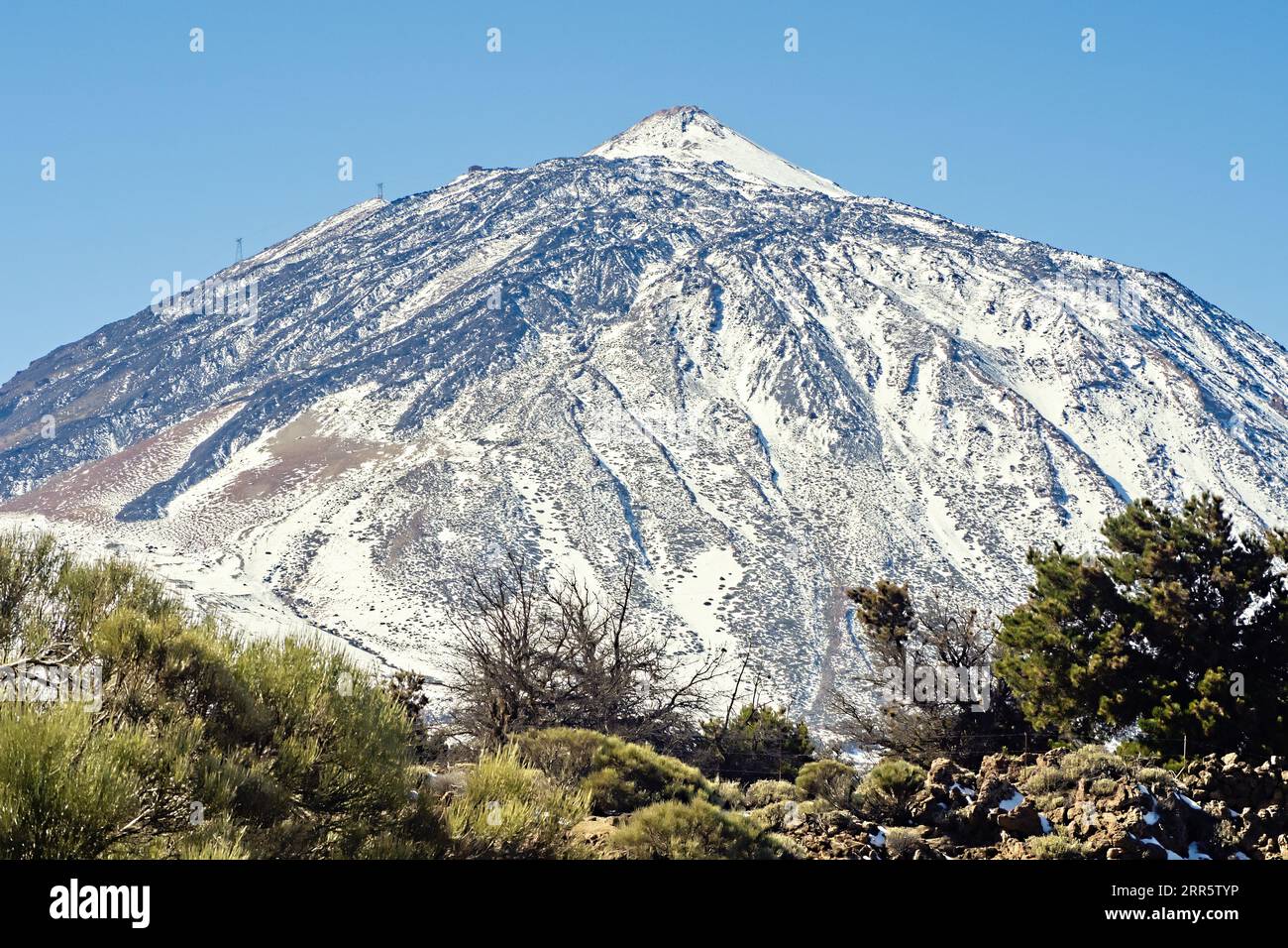 Le Pico del Teide, la plus haute montagne d'Espagne à Tenerife. plein de neige fraîche avec gorse endémique vert devant elle. Gros plan avec téléobjectif. Activé Banque D'Images