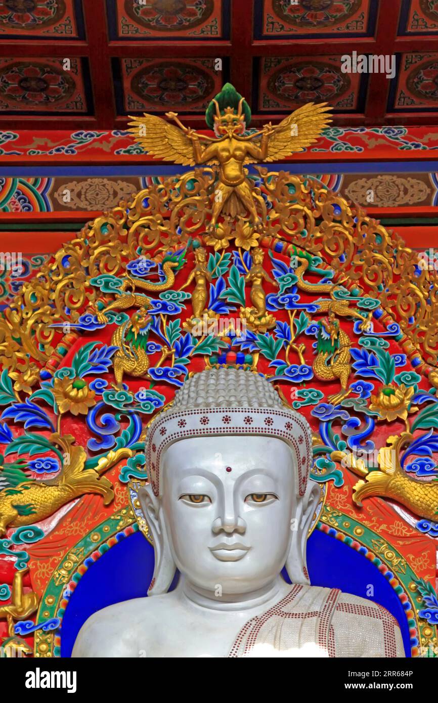 Ville de Hohhot - février 6 : statues de Bouddha de jade dans la lamaserie de Dazhao, le 6 février 2015, ville de Hohhot, région autonome de Mongolie intérieure, Chine Banque D'Images
