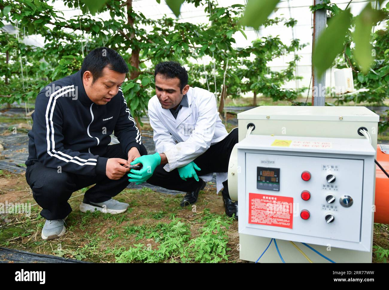 210318 -- XI AN, 18 mars 2021 -- Abdul Ghaffar Shar R discute avec Li Haiping, membre du personnel, de l'équipement de serre dans une coopérative de la zone de démonstration industrielle de haute technologie agricole de Yangling, dans la province du Shaanxi, au nord-ouest de la Chine, le 17 mars 2021. Abdul Ghaffar Shar, 30 ans, est un doctorant pakistanais à la Northwest Agriculture and Forestry University NWAFU de Chine. Shar fait de la recherche en nutrition végétale pour son doctorat. Après avoir obtenu son baccalauréat en agriculture de l Université d agriculture du Sindh au Pakistan en 2014, Shar a décidé de poursuivre ses études à l Université de Chine. S Banque D'Images