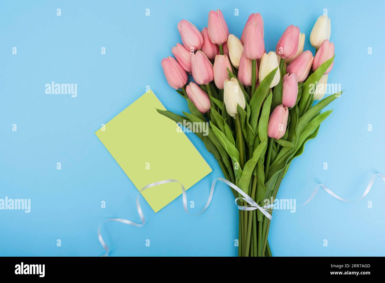 Bouquet tulipes avec carte verte Banque D'Images