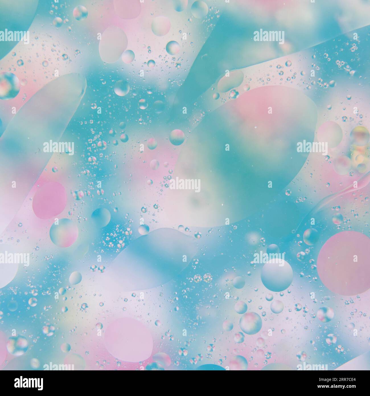 Gouttes d'eau fond rose bleu Banque D'Images