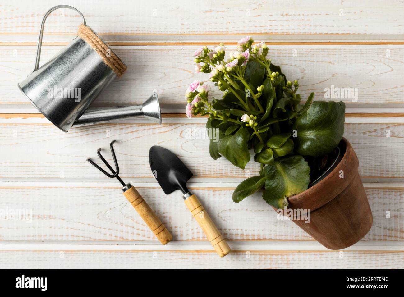 Pot de fleur pour arrosoir Banque D'Images