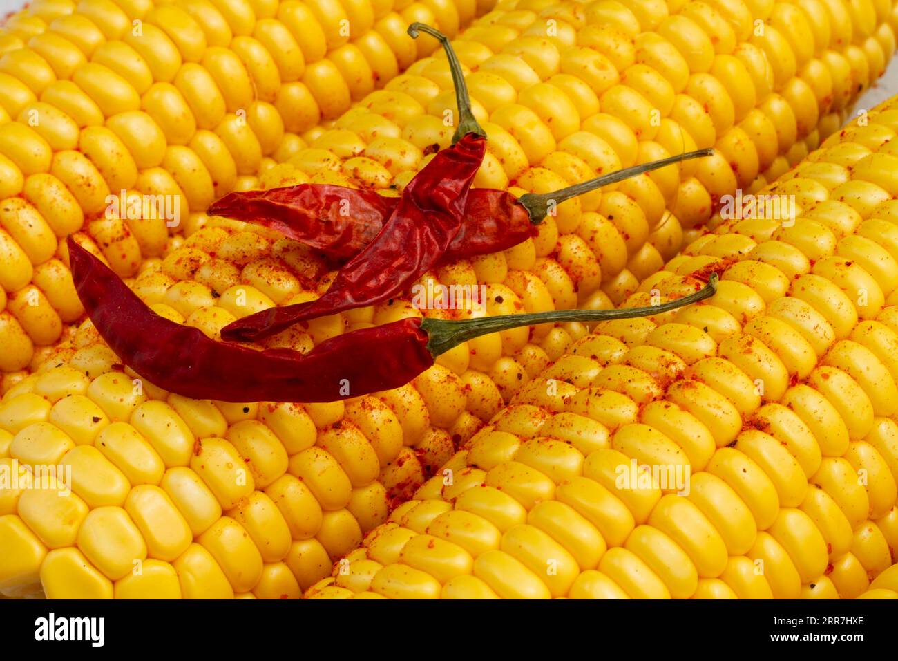 Gros plan sur les piments rouges et le maïs Banque D'Images