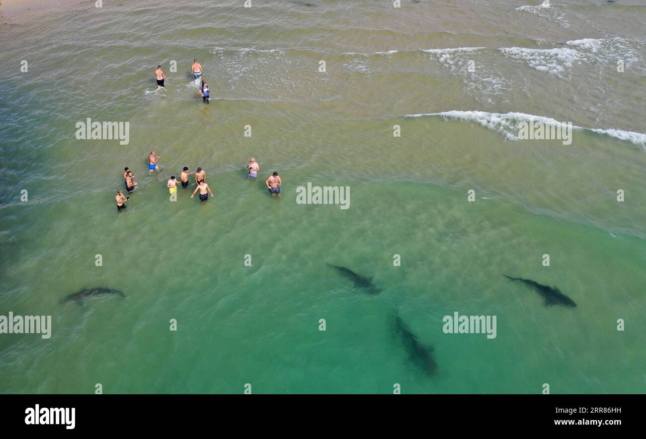 210421 -- HADERA, le 21 avril 2021 -- une photo aérienne montre des Israéliens se baignant près de requins dans la mer Méditerranée au large des côtes de la ville de Hadera, au nord d'Israël, le 20 avril 2021. Photo de /Xinhua ISRAEL-HADERA-SHARKS GilxCohenxMagen PUBLICATIONxNOTxINxCHN Banque D'Images