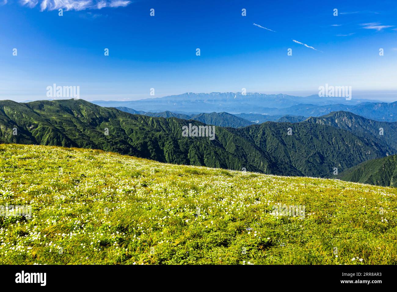 Asahi Mountain Range trekking, vue lointaine de la chaîne de montagnes Iide, jardin de fleurs alpines, 100 montagnes du Japon, Yamagata, Tohoku, Japon, Asie Banque D'Images
