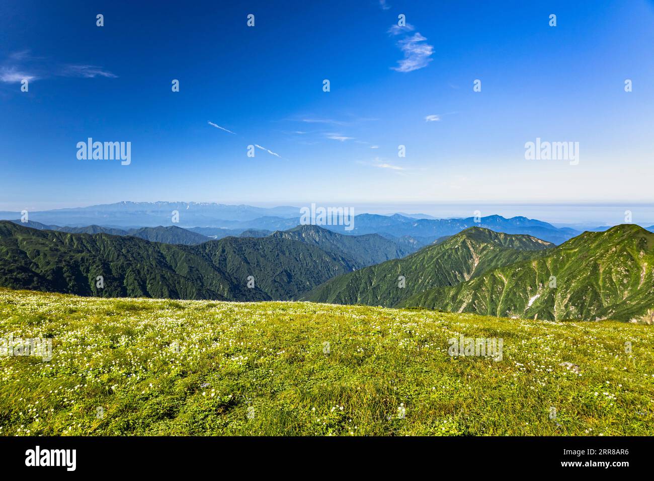 Asahi Mountain Range trekking, vue lointaine de la chaîne de montagnes Iide, jardin de fleurs alpines, 100 montagnes du Japon, Yamagata, Tohoku, Japon, Asie Banque D'Images