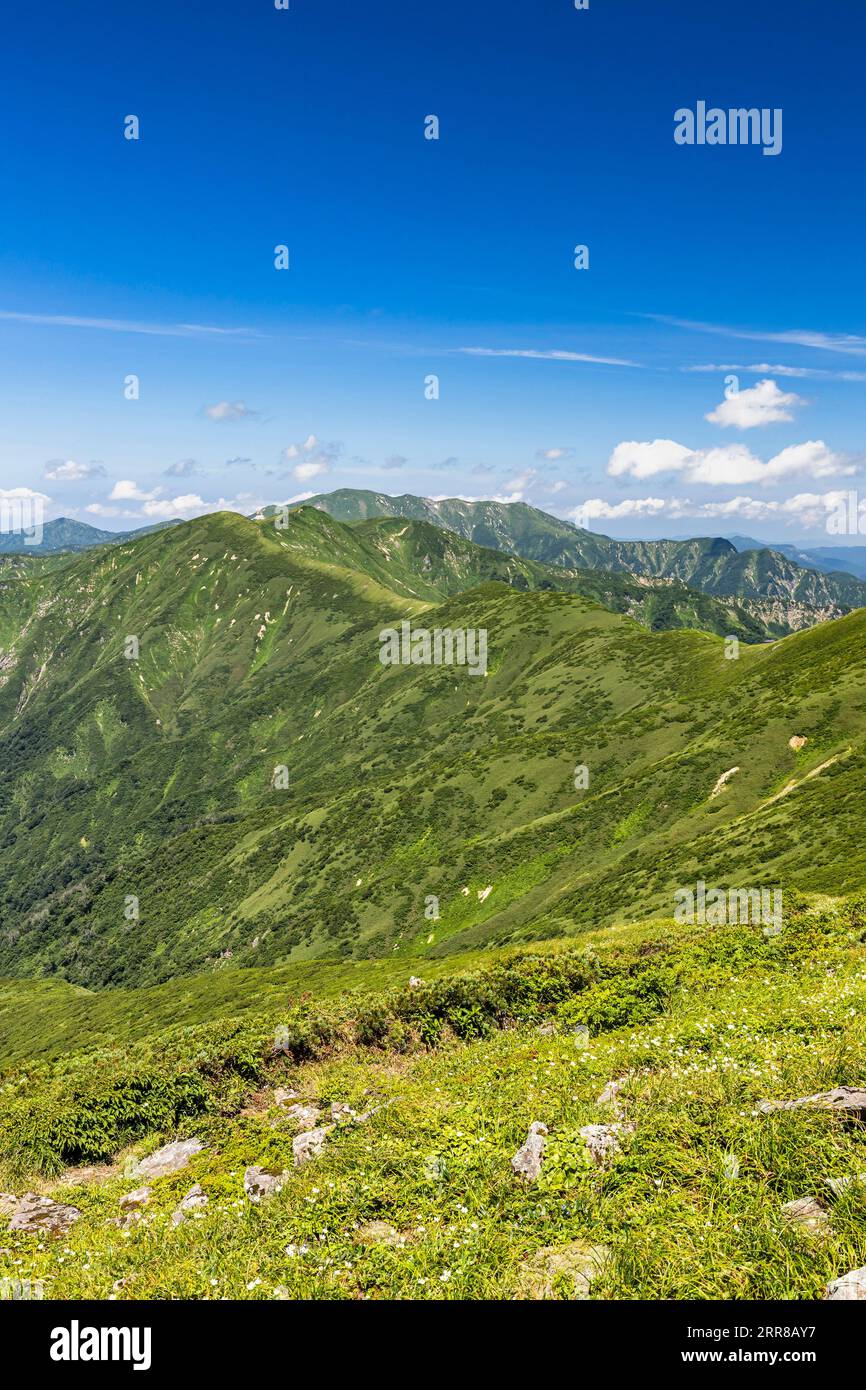 Asahi Mountain Range trekking, vue lointaine de Mt.Itohdake, de la crête Trail, 100 montagnes du Japon, Yamagata, Tohoku, Japon, Asie Banque D'Images