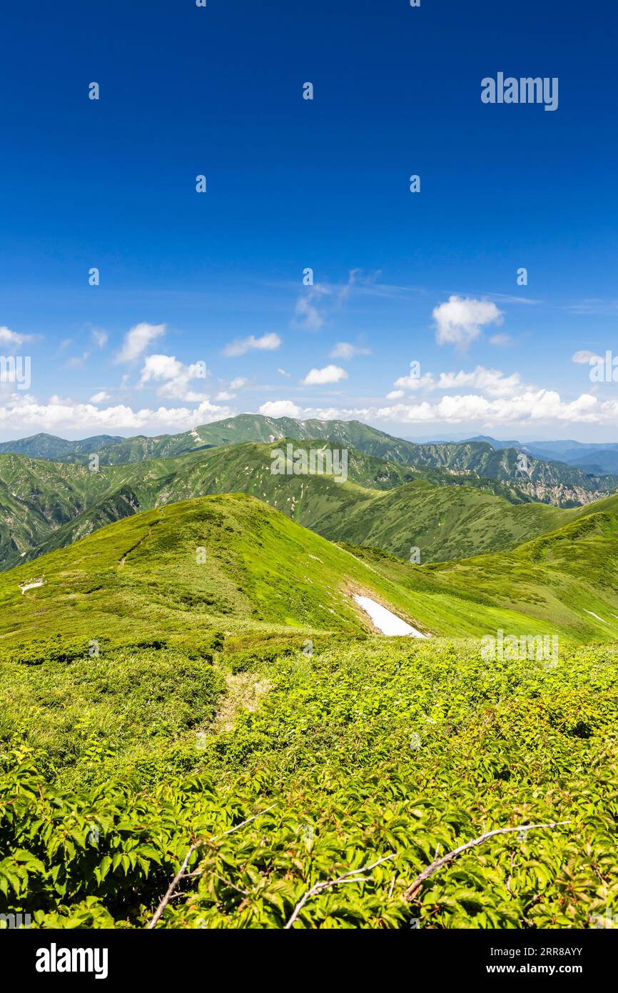 Chaîne de montagnes Asahi, vue sur le Mt.Itohdake (retour), du Mt.Nishiasahidake, 100 montagnes du Japon, Yamagata, Tohoku, Japon, Asie Banque D'Images