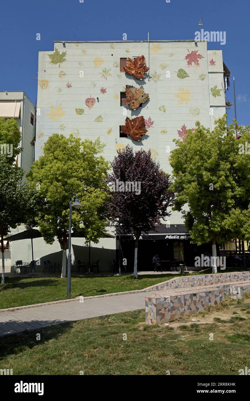 Illustration de sculpture de feuilles décoratives sur le mur d'un immeuble à fier, Albanie Banque D'Images