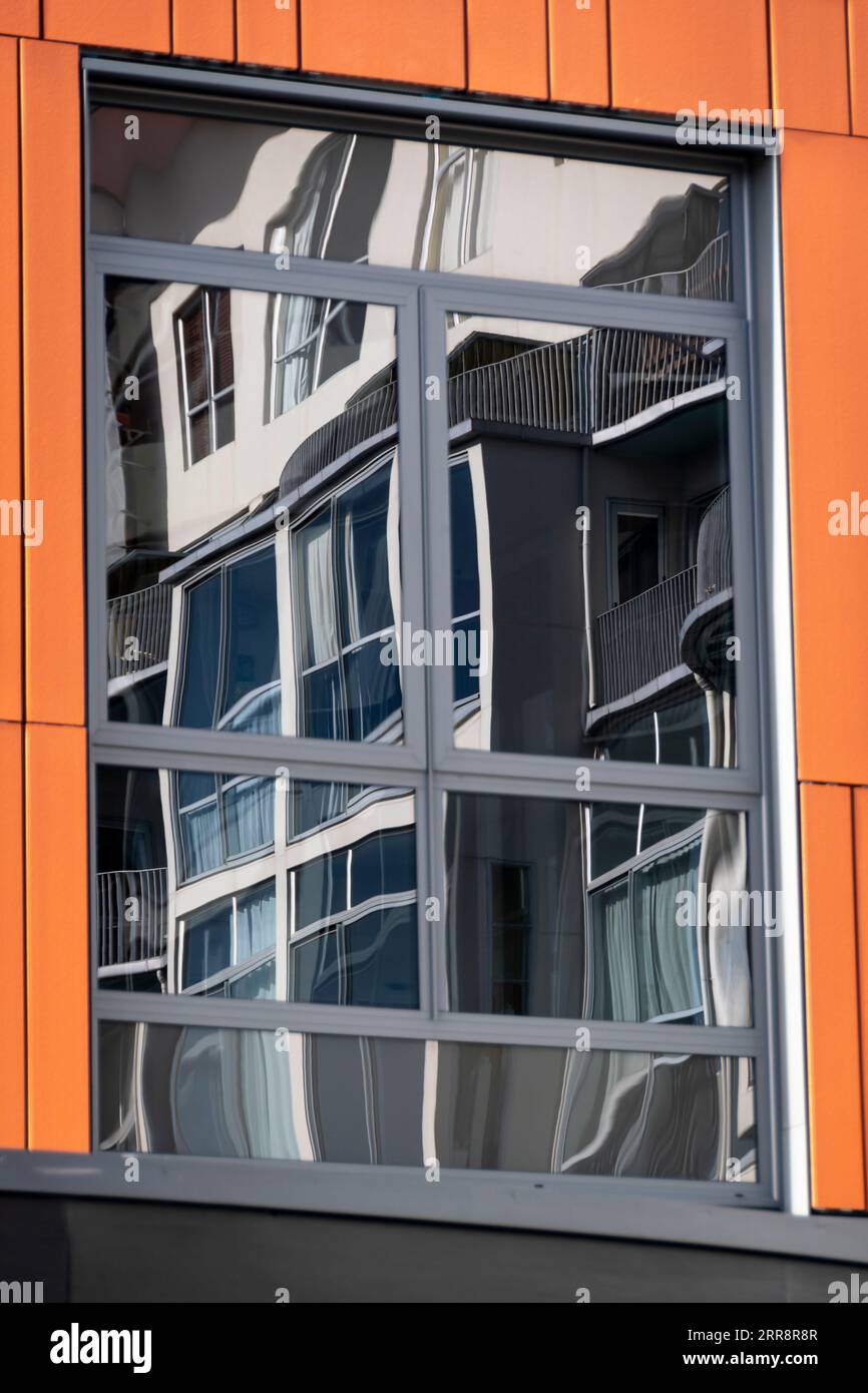 Appartements reflétés dans la fenêtre, Wellington, Île du Nord, Nouvelle-Zélande Banque D'Images