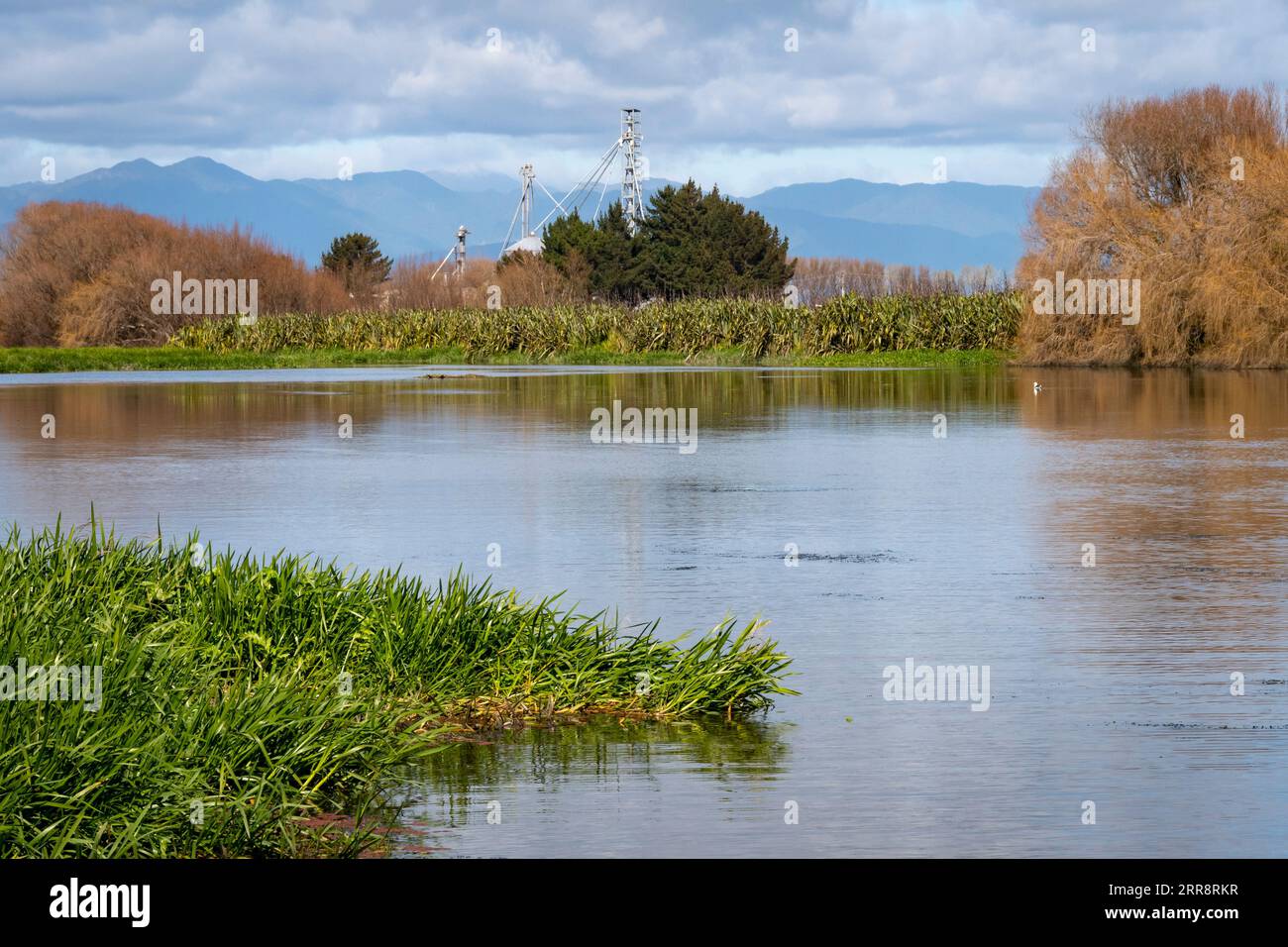 Rivière Manawatu, Foxton, Manawatu, Île du Nord, Nouvelle-Zélande Banque D'Images