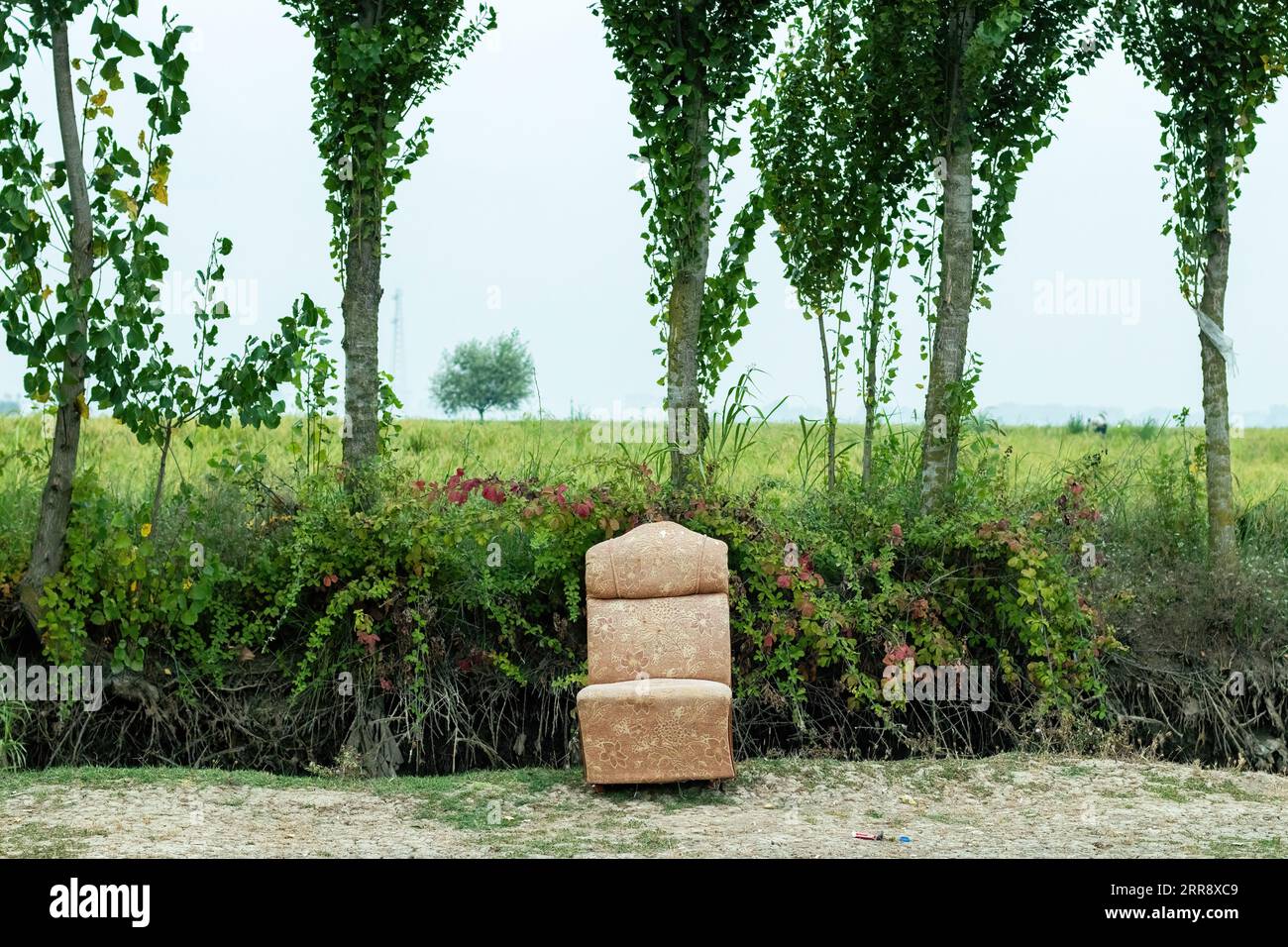 Photo d'un vieux canapé au milieu d'une plaine verte. Banque D'Images