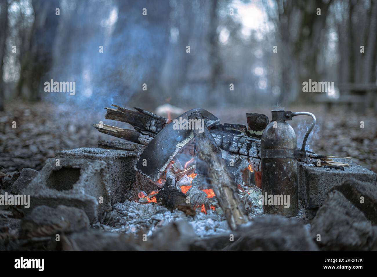 Une photo de thé bouillant dans le bois. Banque D'Images