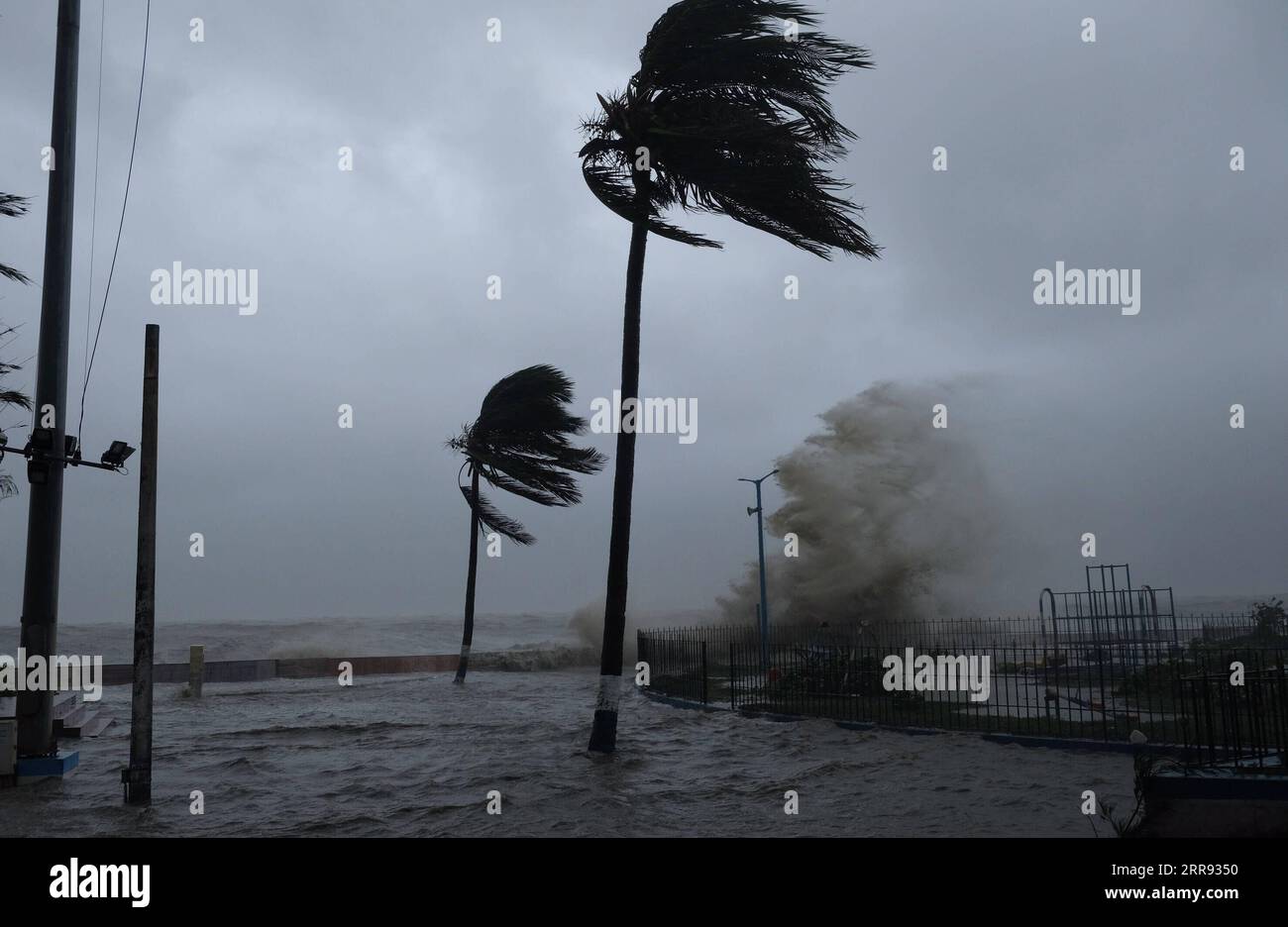 210526 -- KOLKATA, 26 mai 2021 -- une photo prise le 26 mai 2021 montre des arbres battus par la tempête cyclonique Yaas dans la station balnéaire de Digha, près de Kolkata, capitale de l'État indien oriental du Bengale occidental, en Inde. Cinq personnes ont été tuées mercredi après que la tempête cyclonique Yaas ait frappé la zone côtière des États indiens de l'est du Bengale occidental et d'Odisha, ont rapporté les médias locaux. Str/Xinhua INDIA-CYCLONIC STORM-YAAS Stringer PUBLICATIONxNOTxINxCHN Banque D'Images