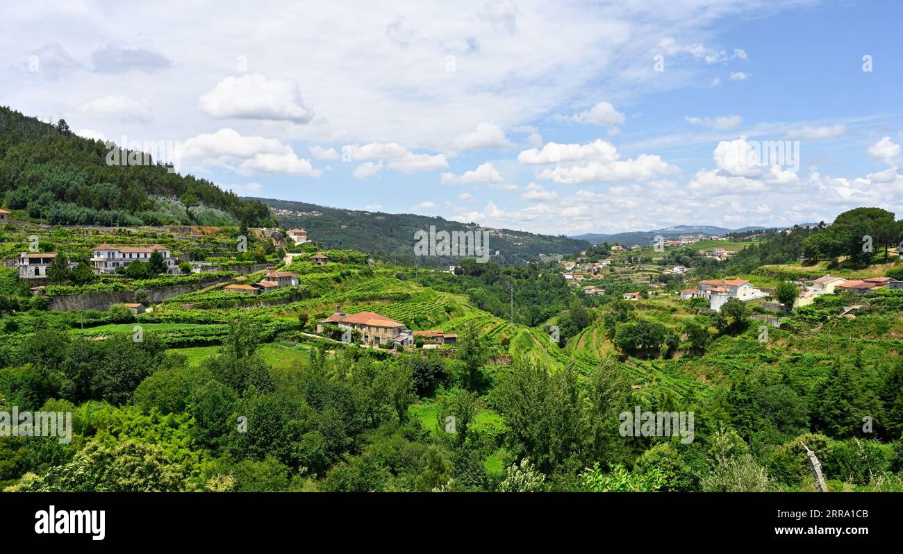 Vue paysage sur la campagne et les montagnes dans le district d'Aveiro au nord du Portugal Banque D'Images
