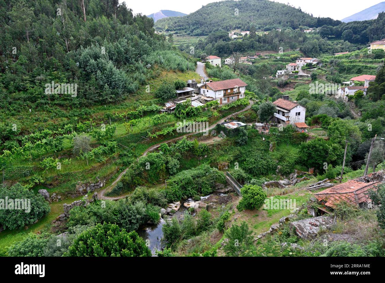 Paysage avec des maisons et des terrasses le long de la vallée de la rivière Sardoura qui se jette dans le fleuve Douro Banque D'Images