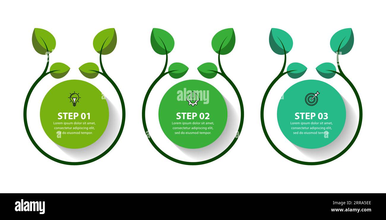 Modèle infographique avec 3 options ou étapes. Cercle vert. Peut être utilisé pour la mise en page de flux de travail, diagramme, bannière, webdesign. Illustration vectorielle Illustration de Vecteur