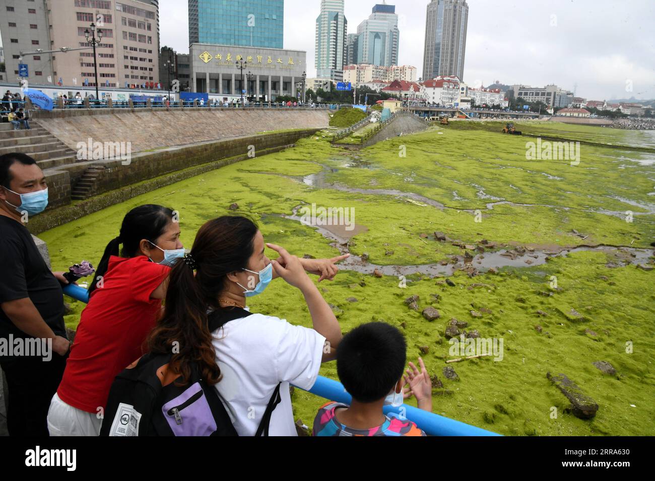 210717 -- QINGDAO, le 17 juillet 2021 -- des touristes sont vus le long de la plage de Qingdao, dans la province du Shandong de l'est de la Chine, le 17 juillet 2021. La plus grande floraison d'algues de l'histoire a frappé Qingdao, une ville portuaire dans la province de Shandong de l'est de la Chine, couvrant 1 746 kilomètres carrés de la mer jaune, ont déclaré les autorités. Ce chiffre est 2,3 fois supérieur à celui de 2013, la deuxième année la plus grave, selon les données fournies par le Centre de prévisions marines de la mer de Chine du Nord du ministère des Ressources naturelles. La floraison des algues a affecté la ville touristique pendant 15 années consécutives. CHINE-QINGDAO-ALGUES CN LixZiheng PUBLICATIONxN Banque D'Images