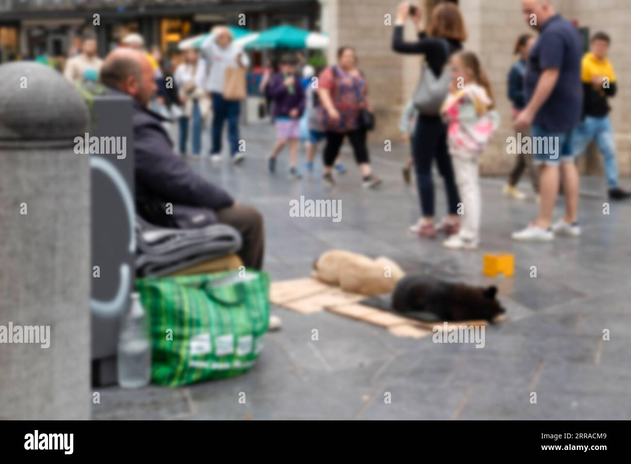 Vue floue d'un homme assis avec ses chiens et mendiant sur le trottoir et les gens autour de lui Banque D'Images