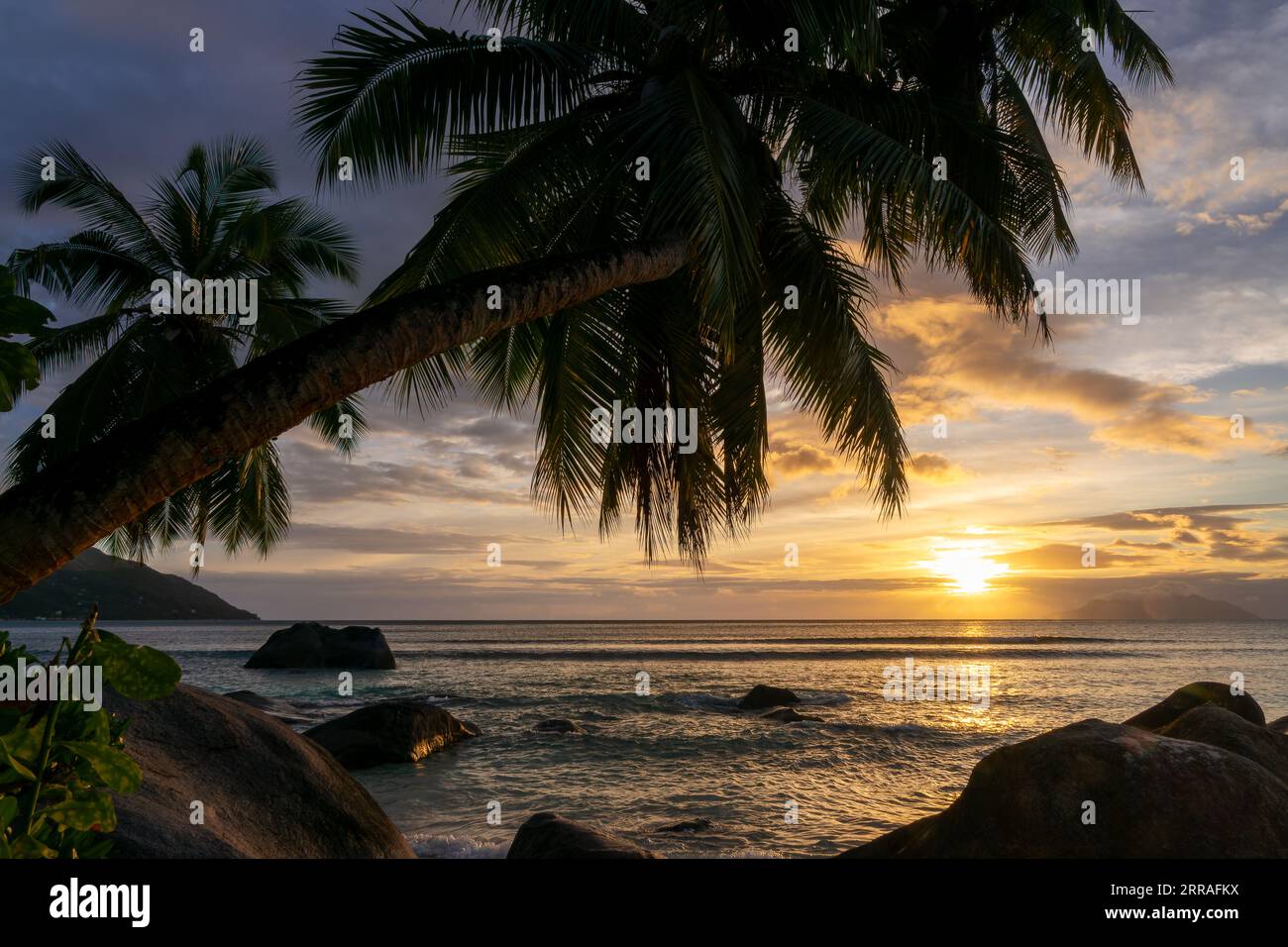 Paysage de coucher de soleil parfait sur une plage tropicale pittoresque avec des palmiers et des rochers sur l'île de Mahé, Seychelles Banque D'Images