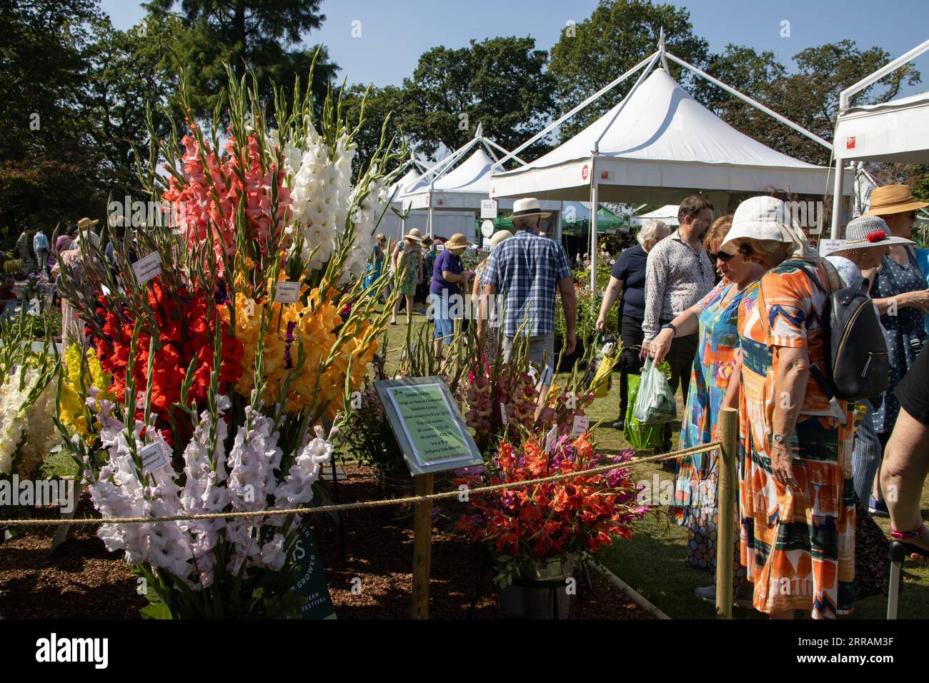 Les amateurs d'horticulture apprécient les températures chaudes au salon floral annuel RHS Wisley, Surrey, Angleterre, Royaume-Uni. 07 septembre 2023. Crédit : Jeff Gilbert/Alamy Live News Banque D'Images