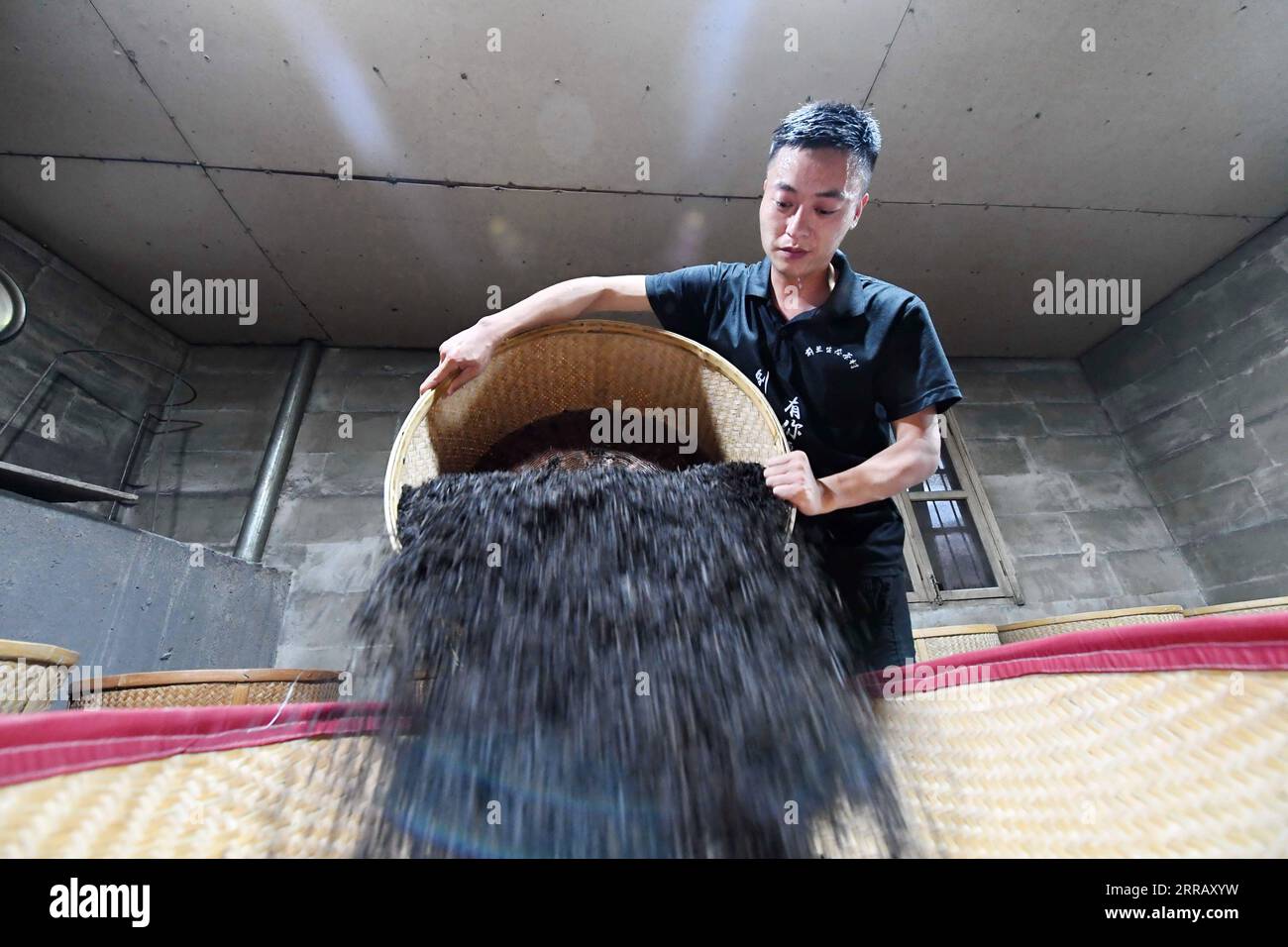 210821 -- FUZHOU, 21 août 2021 -- Ye Maochao transforme des produits à base de thé à la coopérative de thé écologique Wuyishan Zhumeng Qianlan à Wuyishan, dans la province du Fujian du sud-est de la Chine, 17 août 2021. L’équipe de livestreaming de la coopérative de thé écologique Wuyishan Zhumeng Qianlan se compose de 19 membres, avec une moyenne d’âge de 28 ans. Ils favorisent le développement de l'industrie locale du commerce électronique en remodelant le modèle de marketing et en améliorant la valeur de marque des produits. En 2017, la Chine a proposé une stratégie de vitalisation rurale comme une initiative clé pour accélérer la modernisation de l'agriculture et des zones rurales, et elle l'a depuis adopté Banque D'Images