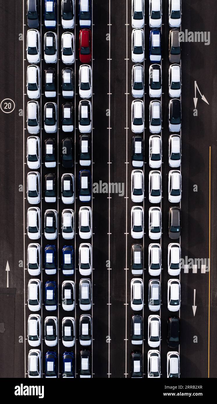 Une vue aérienne directement au-dessus de rangées de voitures nouvellement construites dans l'industrie automobile sur un quai commercial prêt à être chargé pour l'exportation et l'importation Banque D'Images