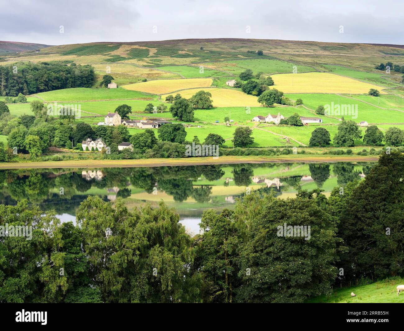 Réservoir Gouthwaite de la voie Nidderdale entre WATH et Bouthwaite Nidderdale AONB North Yorkshire Angleterre Banque D'Images