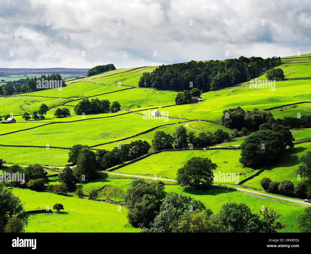 Prairies verdoyantes le long de la Water Authority Road près de Lofthouse Nidderdale AONB North Yorkshire Angleterre Banque D'Images