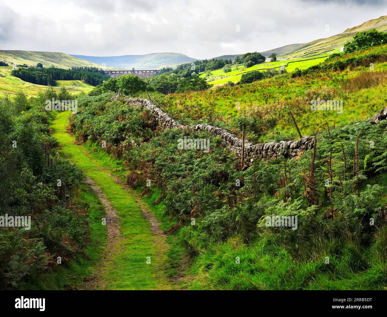 Vue de la voie Nidderdale vers SCAR House Reservoir Nidderdale AONB North Yorkshire Angleterre Banque D'Images