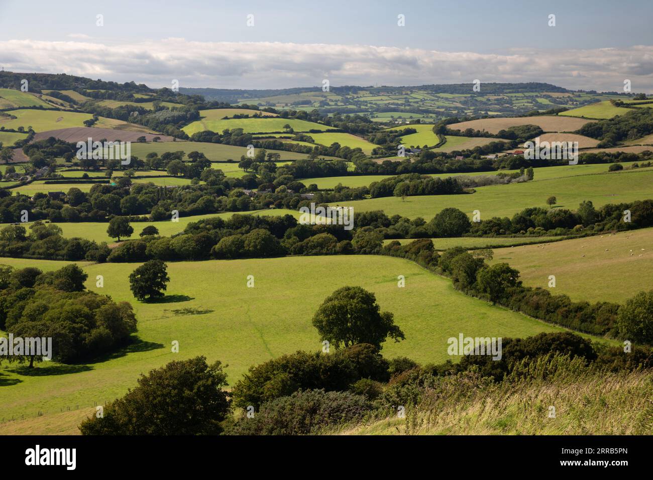 Vue sur la campagne du Dorset depuis près de Symondsbury, Bridport, Dorset, Angleterre, Royaume-Uni, Europe Banque D'Images